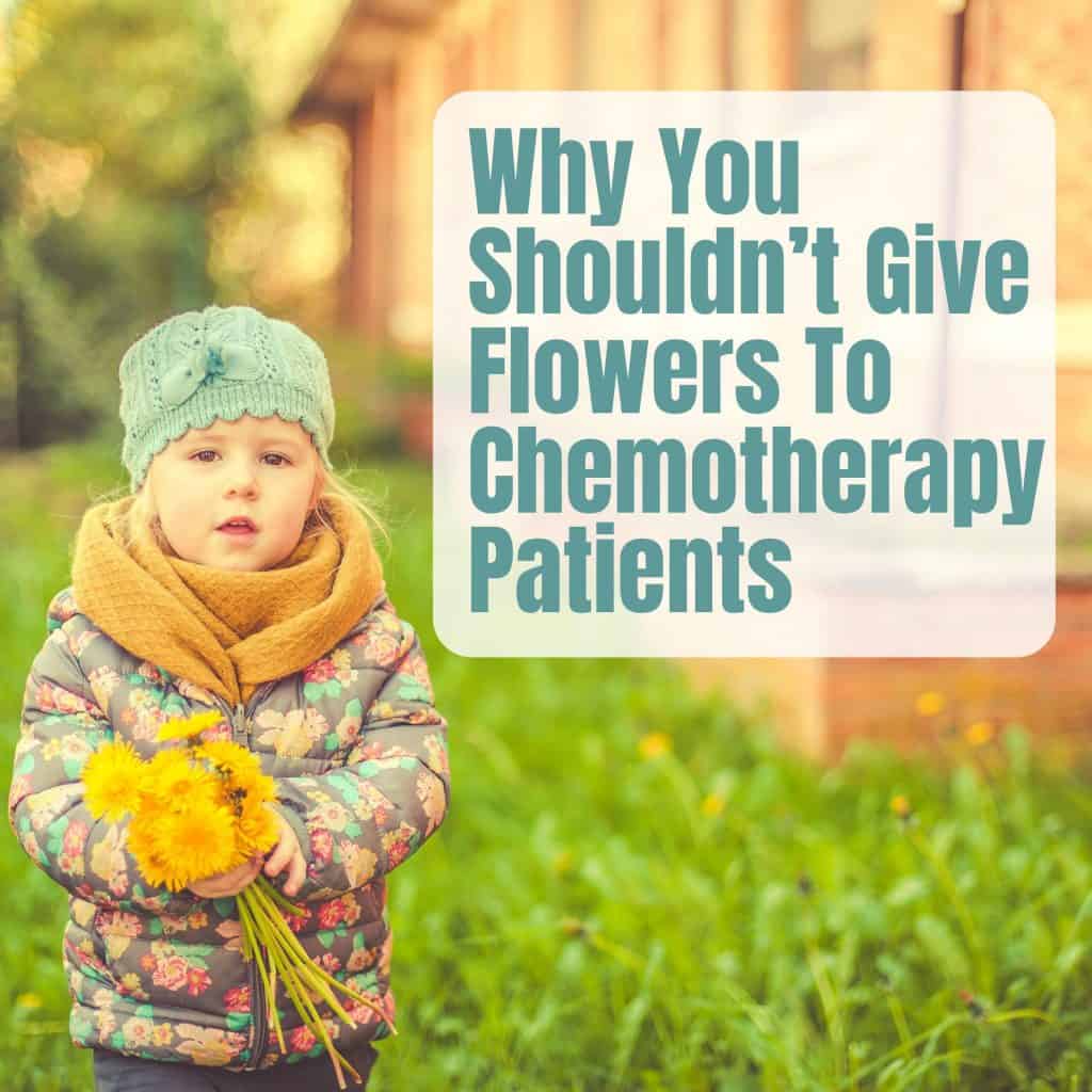 Why You Shouldn't Buy Flowers For Chemotherapy Patients