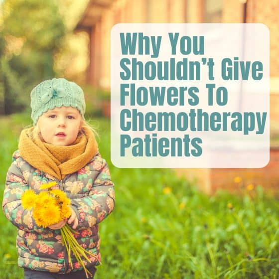 Don’t Say It With Flowers: Why You Shouldn't Buy Flowers For Chemotherapy Patients