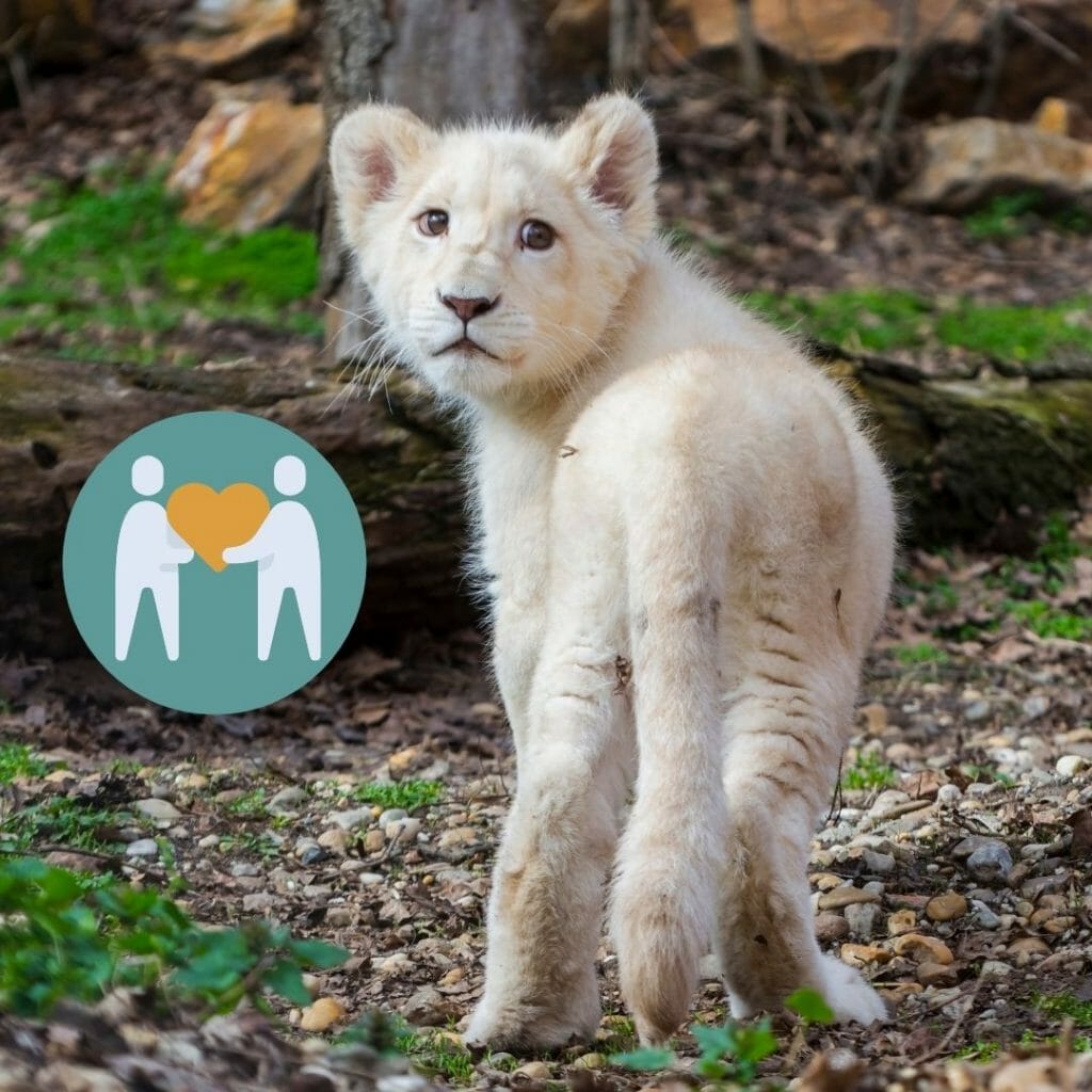 Looking back on 2019: A Shout Out To Cancer Charities