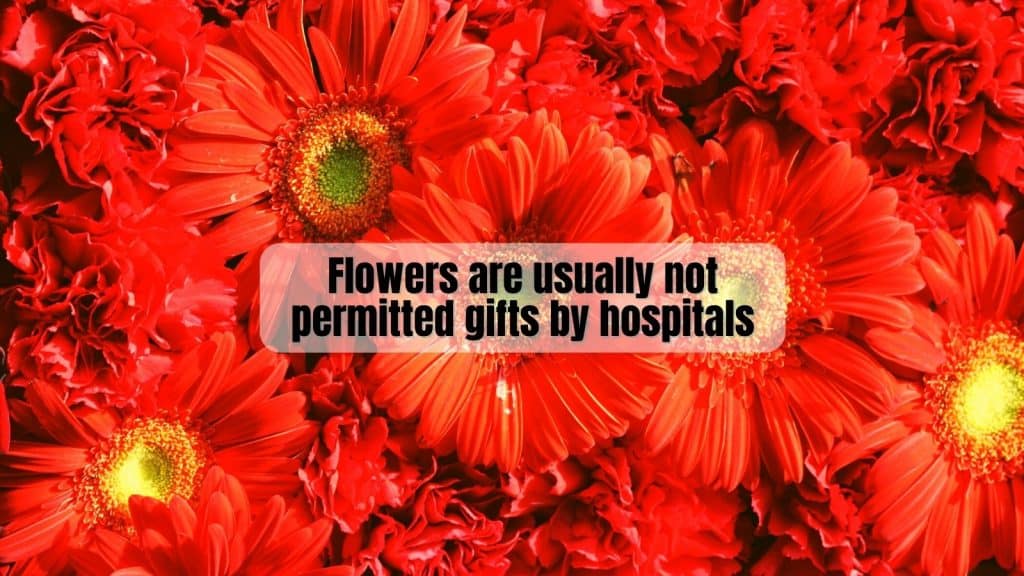 Flowers are not usually permitted hospital gifts