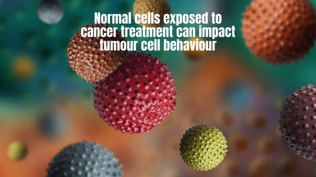 When Treated With Anti-Cancer Therapies, Normal Cells Can Also Be Exposed To The Treatment Generating A Cellular Response That Impacts Tumour Cell Behaviour.