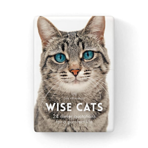 Wise Cats | 24 Affirmation Cards With Stand