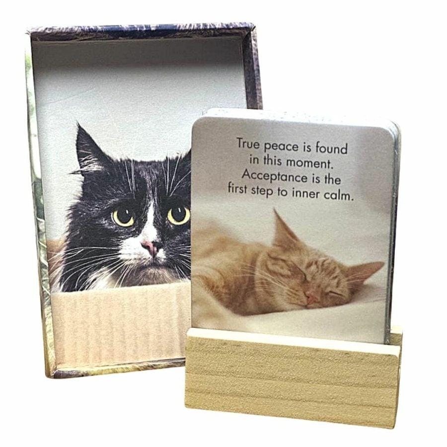 Wise Cats 24 Affirmation Cards With Stand 10