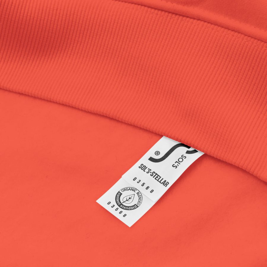Unisex Eco Raglan Hoodie Burnt Orange Product Details 4 63E4Ec70C0789