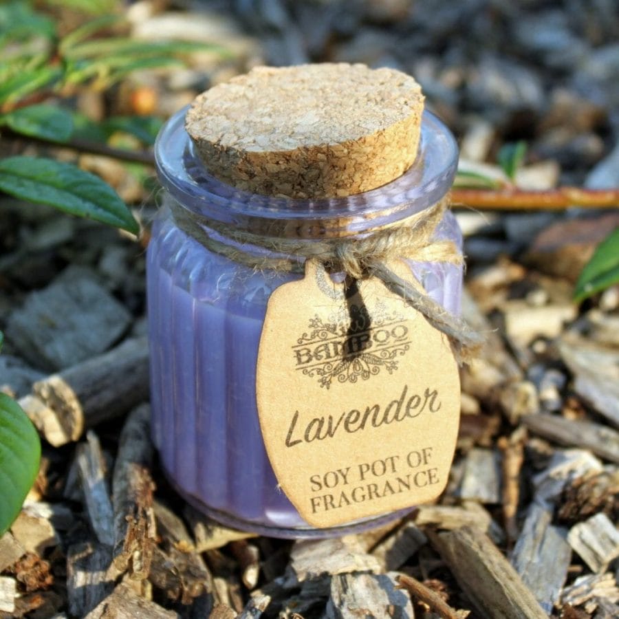 Smooth Lavender Fragrance