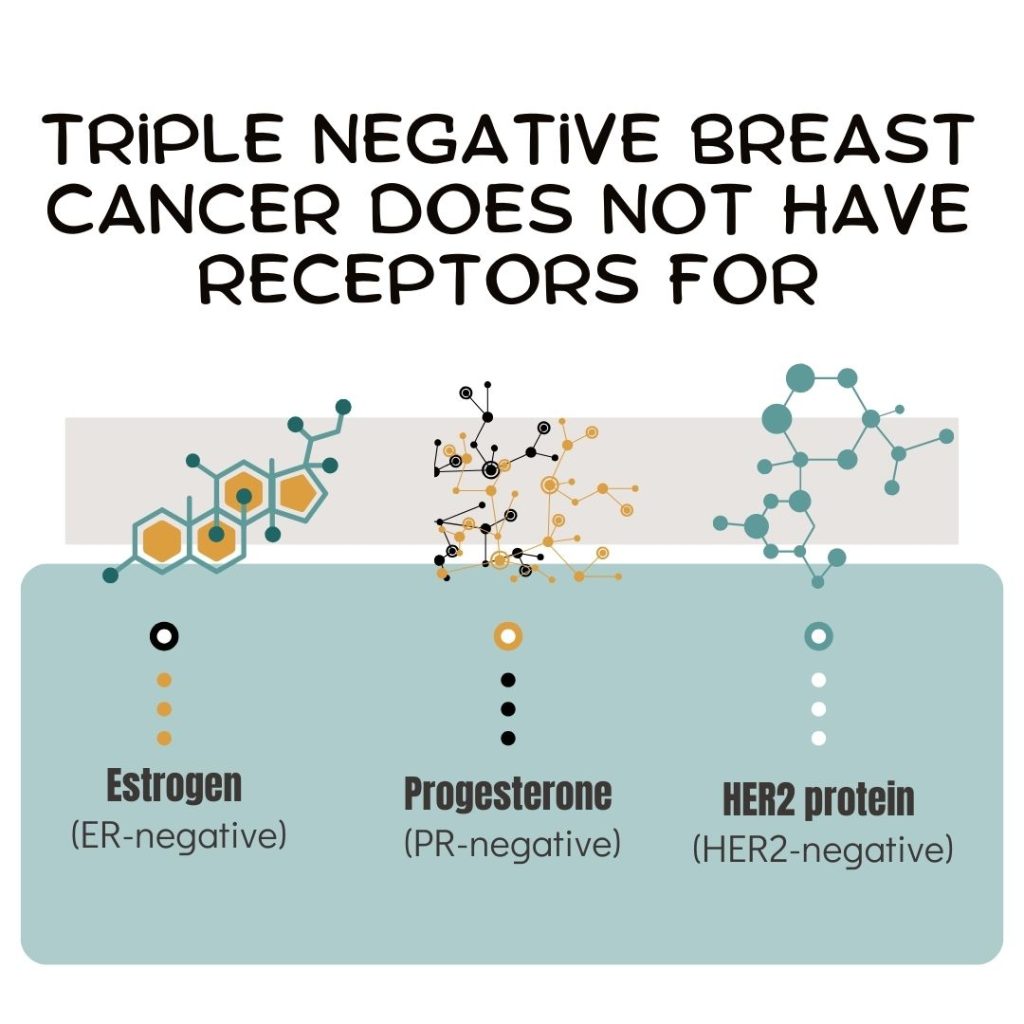 Triple Negative Breast Cancer does not have receptors for