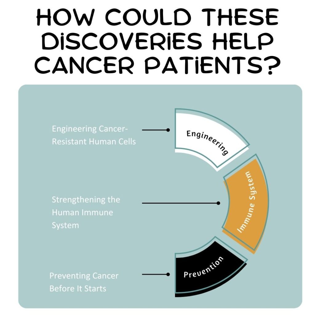 How Could These Discoveries Help Cancer Patients?