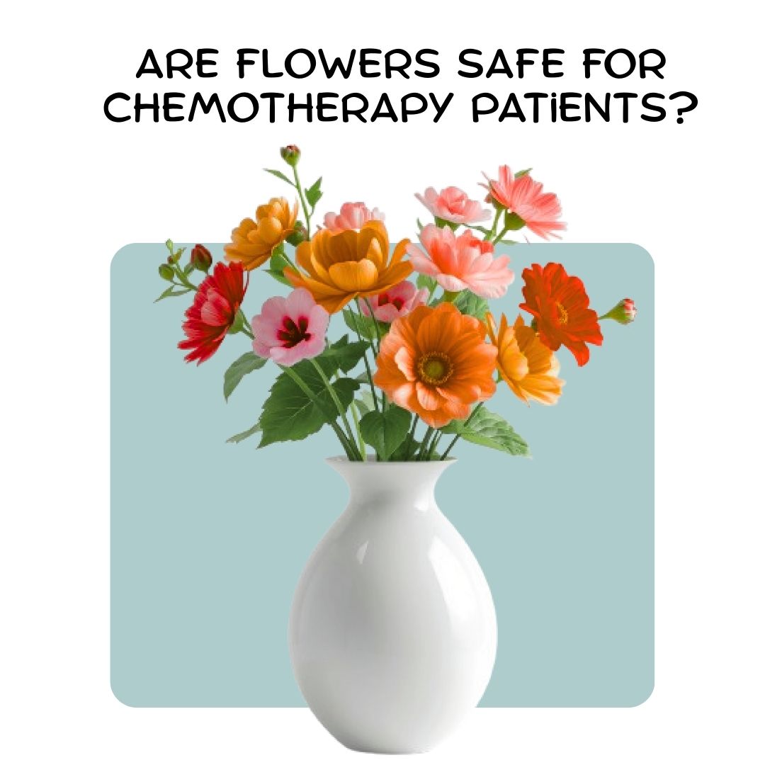 Are Flowers Safe for Chemotherapy Patients