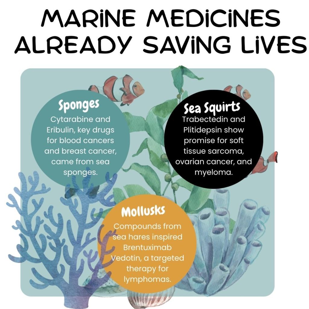 Marine medicines already saving lives