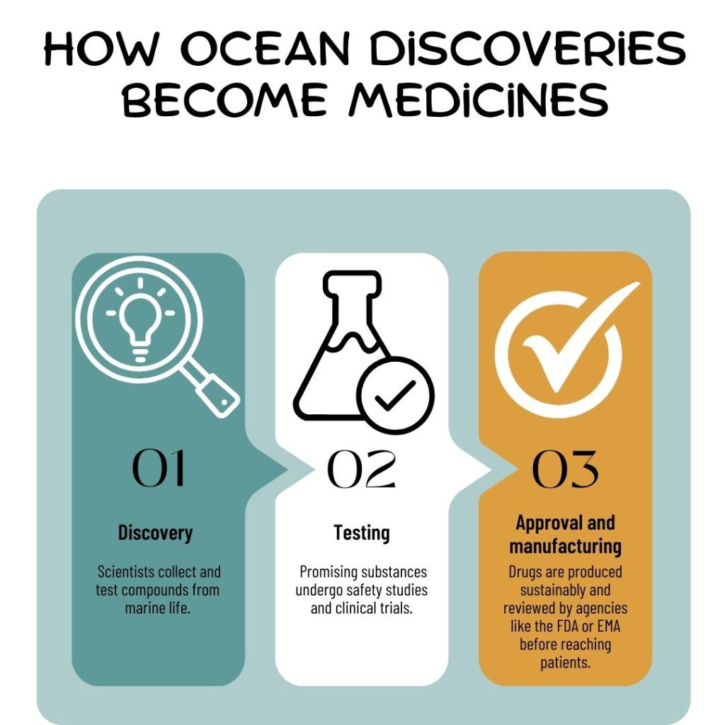 How ocean discoveries become medicines
