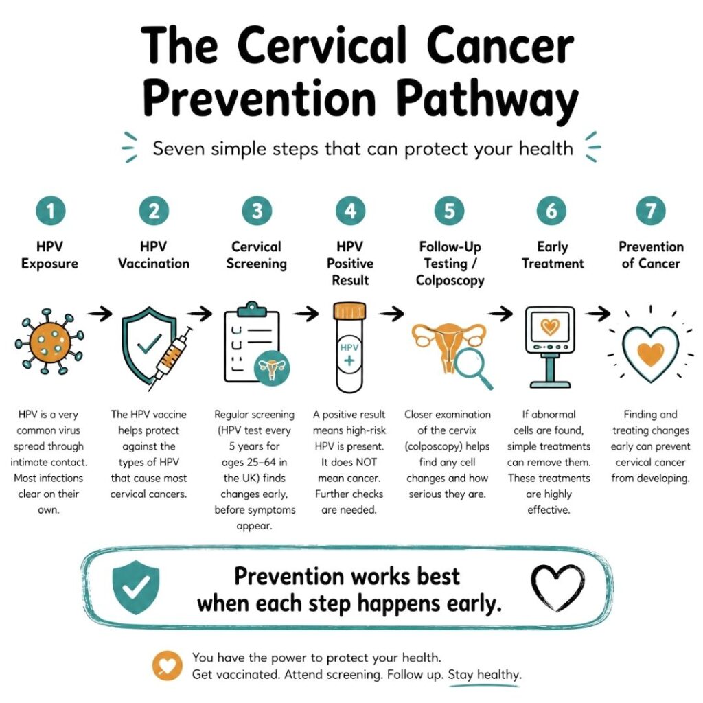 The Cervical Cancer Prevention Pathway”