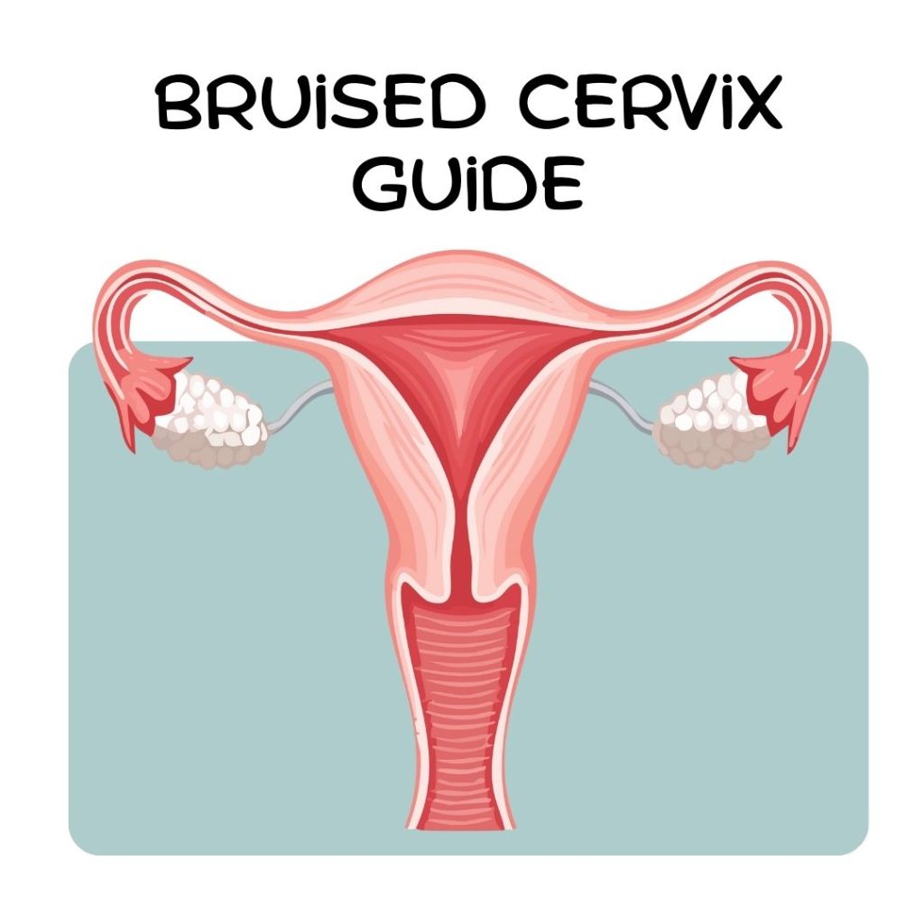 Bruised Cervix Guide: Causes, Symptoms & Relief