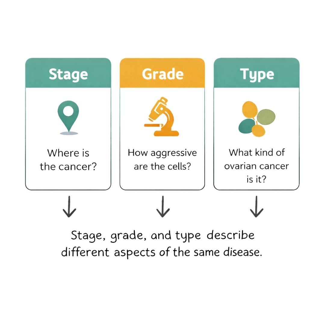 Stage vs Grade vs Type