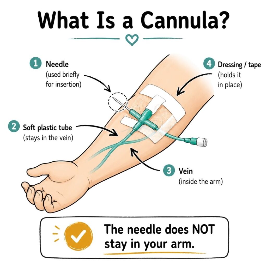 What Is a Cannula
