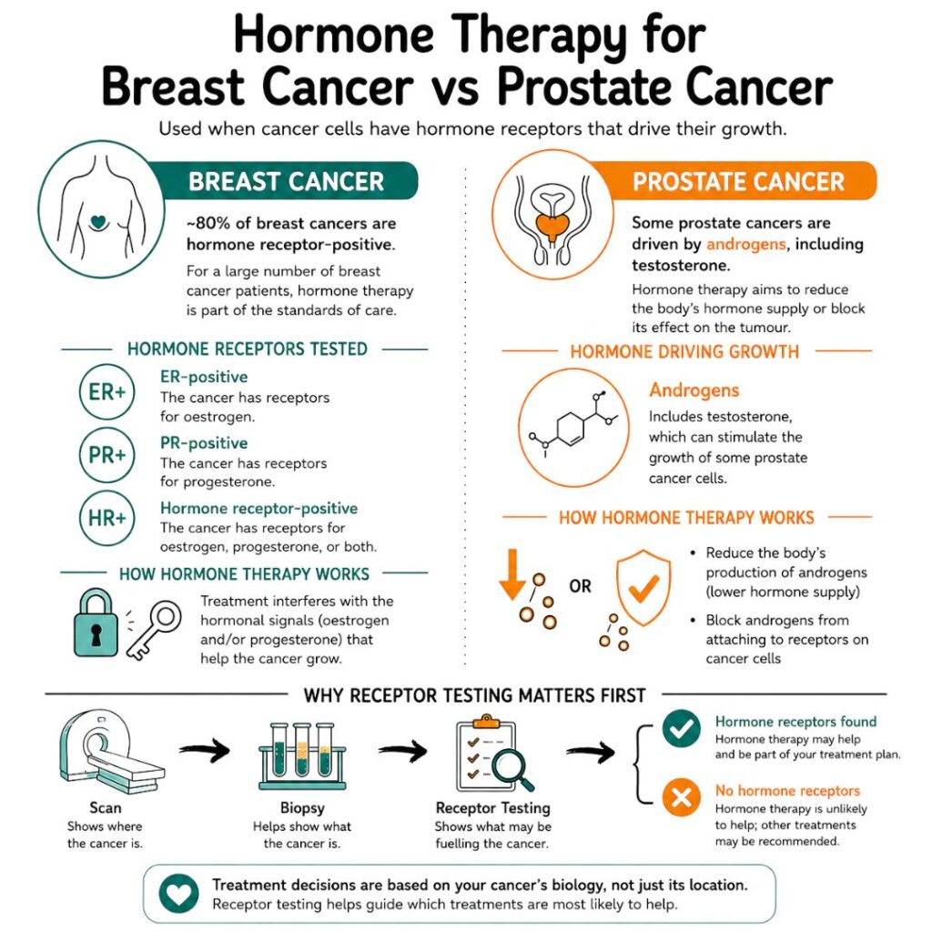 Hormone therapy for breast cancer versus prostate cancer